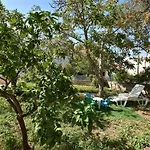 Apartament Dragica
