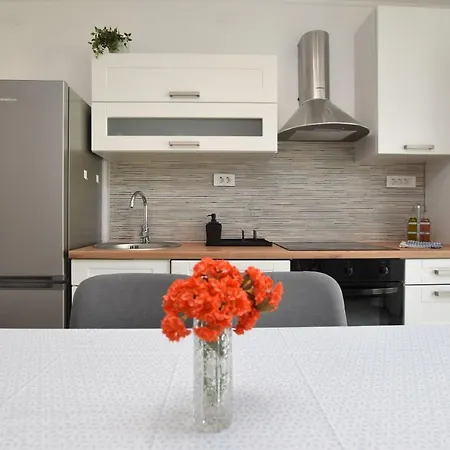 Dragica פרימוסטן